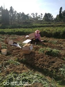 挖土豆早上京东送电视-1 挖土豆早上京东送电视-1