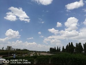 今天去种玉米了-1 今天去种玉米了-1