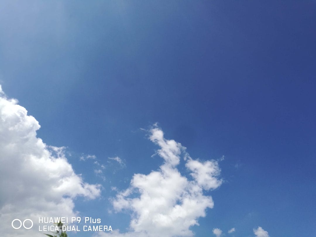 人生如戏-1 人生如戏-1