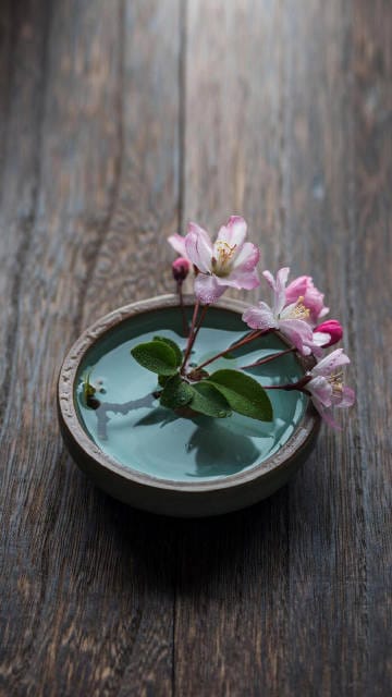 萝卜白菜,各有所爱-1 萝卜白菜,各有所爱-1