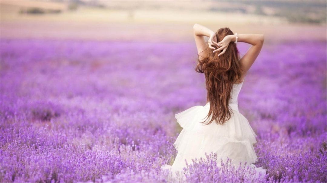 没有金刚钻别揽瓷器活-1