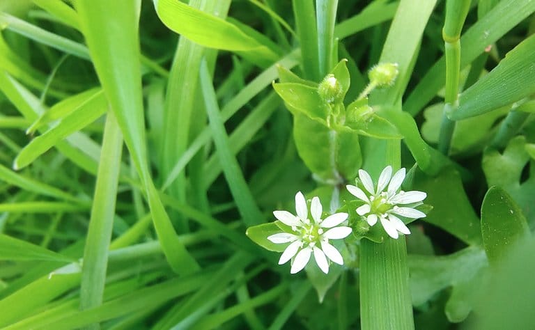 宋快递电影—CF673NET-1
