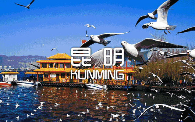 昆明空城记 武汉,昆明等你!-1 昆明空城记 武汉,昆明等你!-1