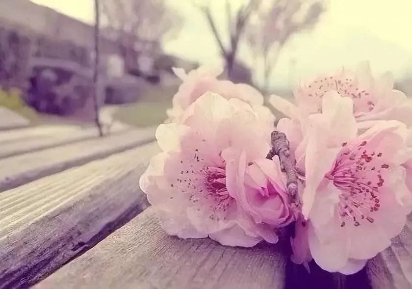 搞清楚自己的人生剧本 ——CF673NET-1 搞清楚自己的人生剧本 ——CF673NET-1